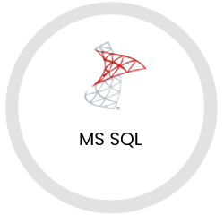 Ms Sql