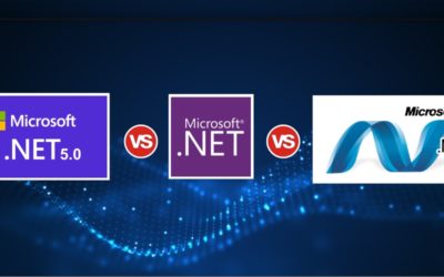 Mapping the Differences in Full Framework, .Net Standard and .Net 5.0