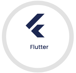 flutter flutter