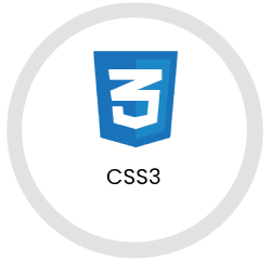 css3